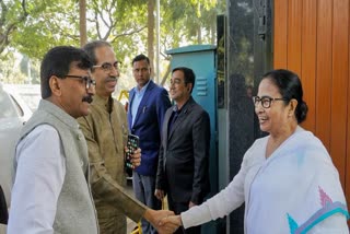 संजय राउत, उद्धव ठाकरे और ममता बनर्जी, फाइल फोटो