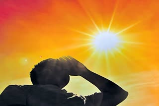 Summer Hair Care Tips in Telugu