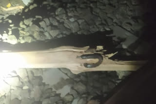 WOODEN LOG FOUND ON TRACK BEKAL  ATTACK AGAINST TRAIN IN KASARAGOD  ട്രാക്കിൽ മരക്കഷണം  കാസർകോട് ട്രെയിനിന് നേരെ കല്ലേറ്