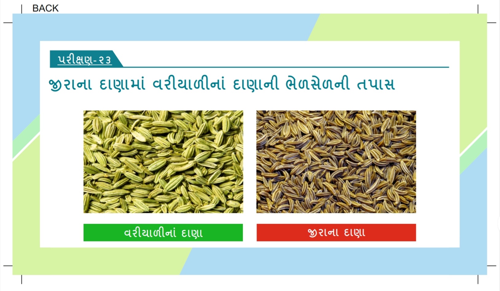 જીરાના દાણામાં વરીયાળીના દાણાની ભેળસેળ તપાસો