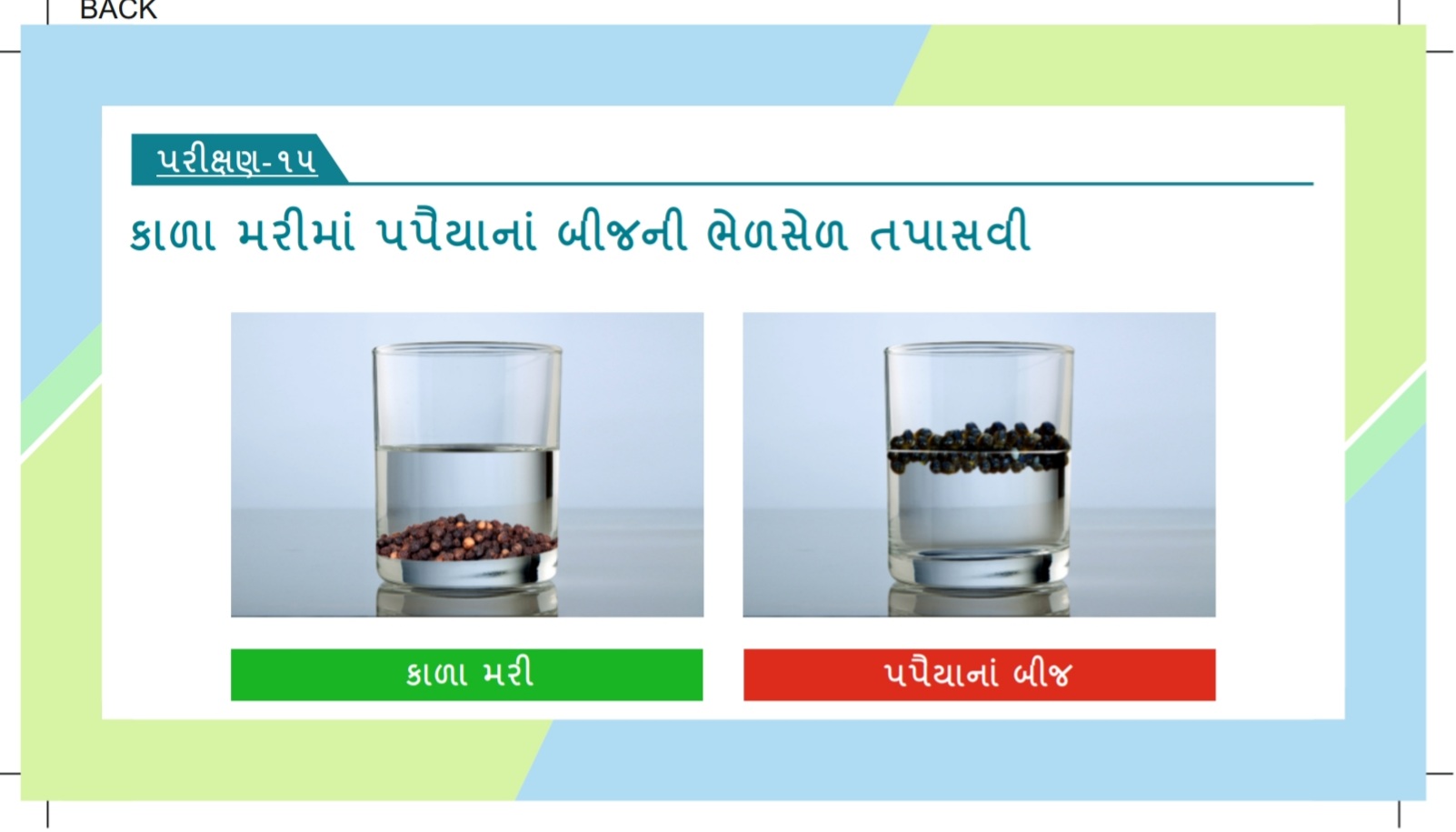 કાળા મરીમાં પોપૈયાના બીજની ભેળસેળ તપાસવી