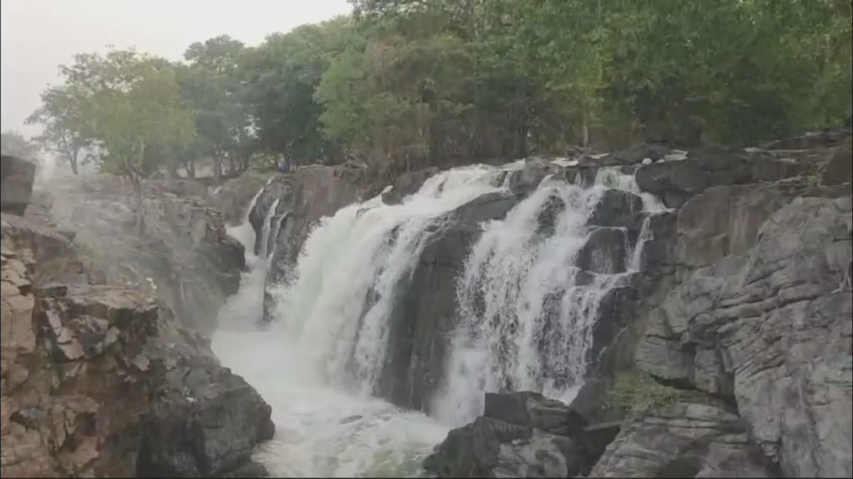 hogenakkal waterfalls photo