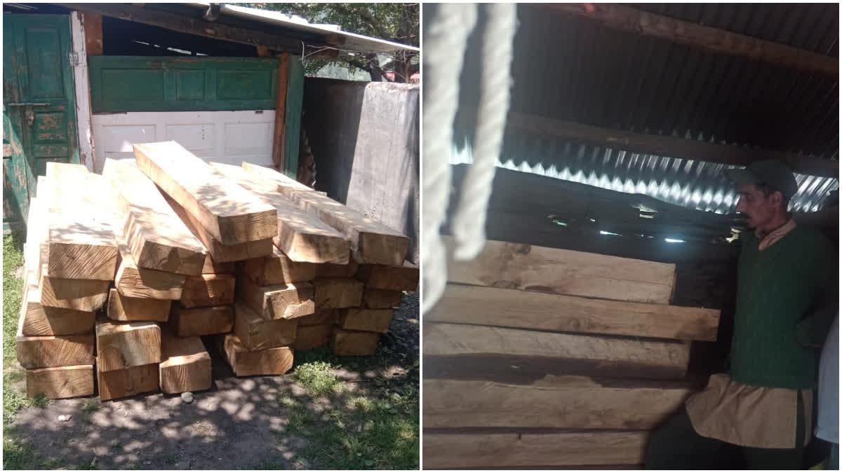 CEDAR WOOD RECOVERED