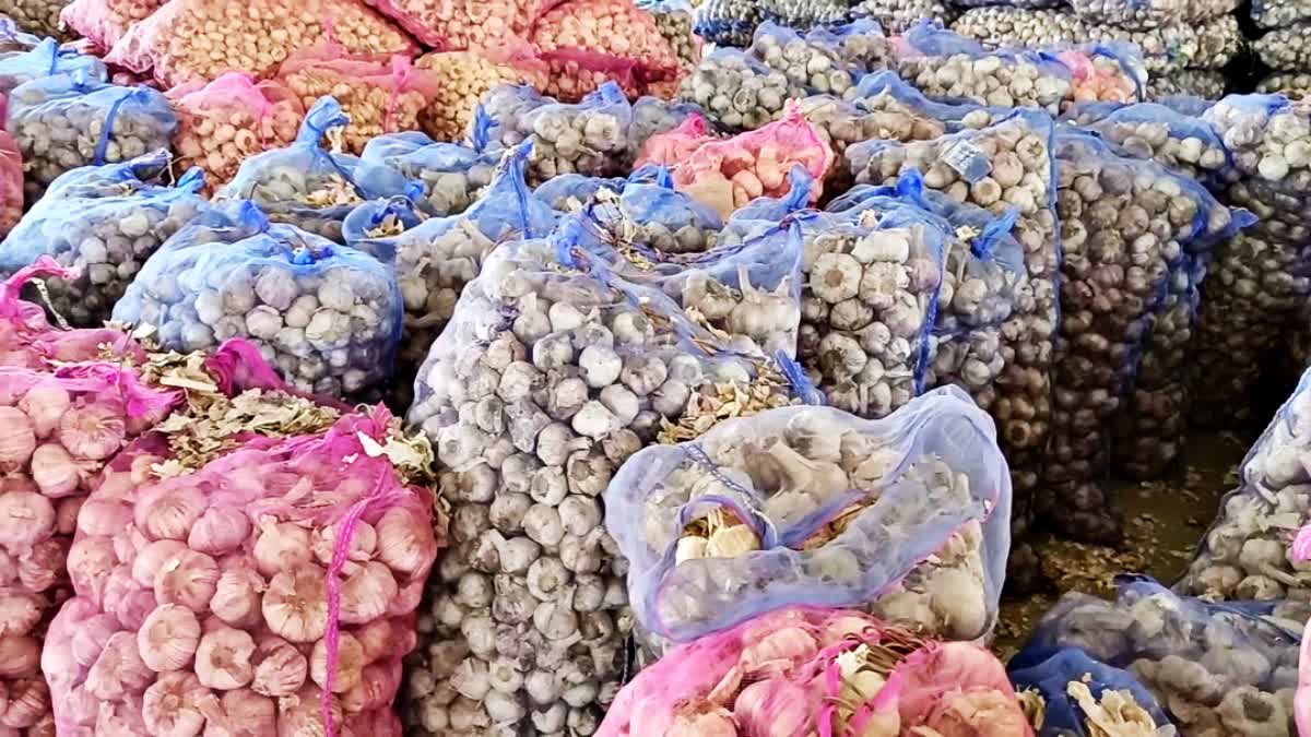 Himachal Garlic Demand