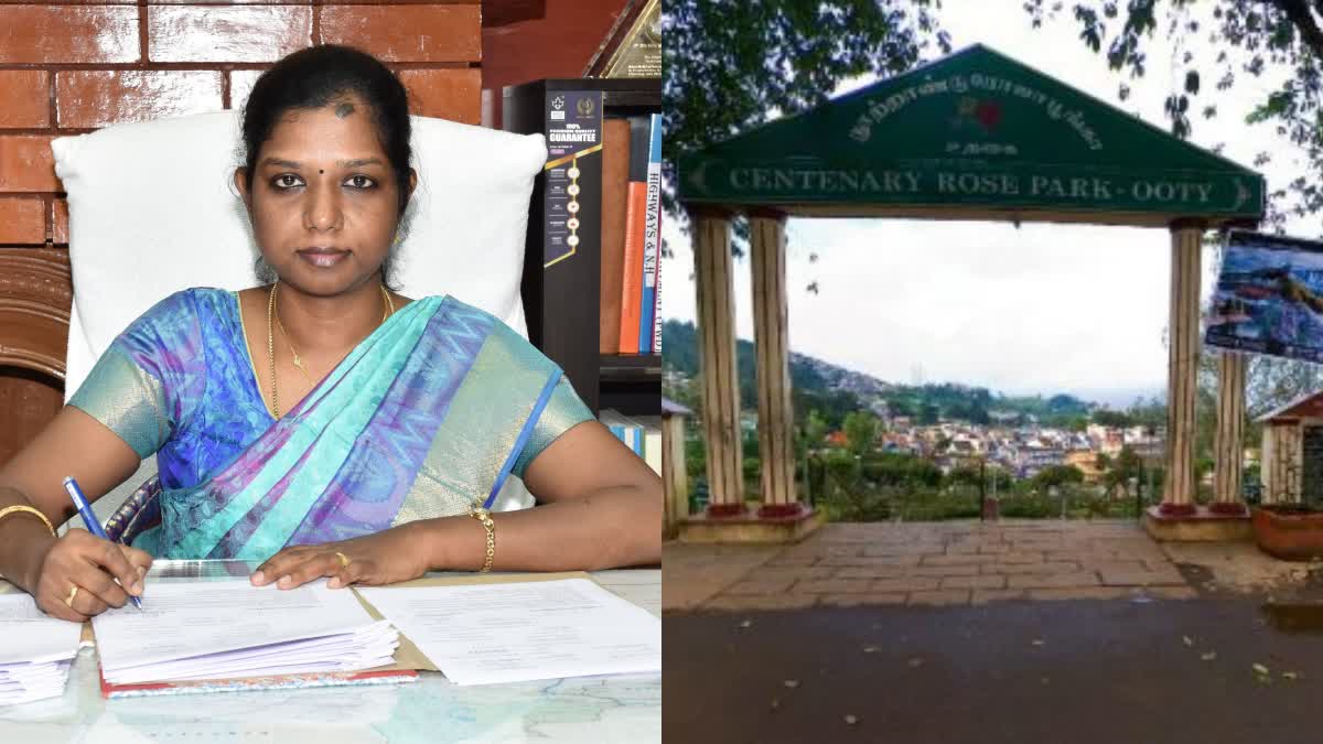 Nilgiri District Collector M.Aruna and Rose Park