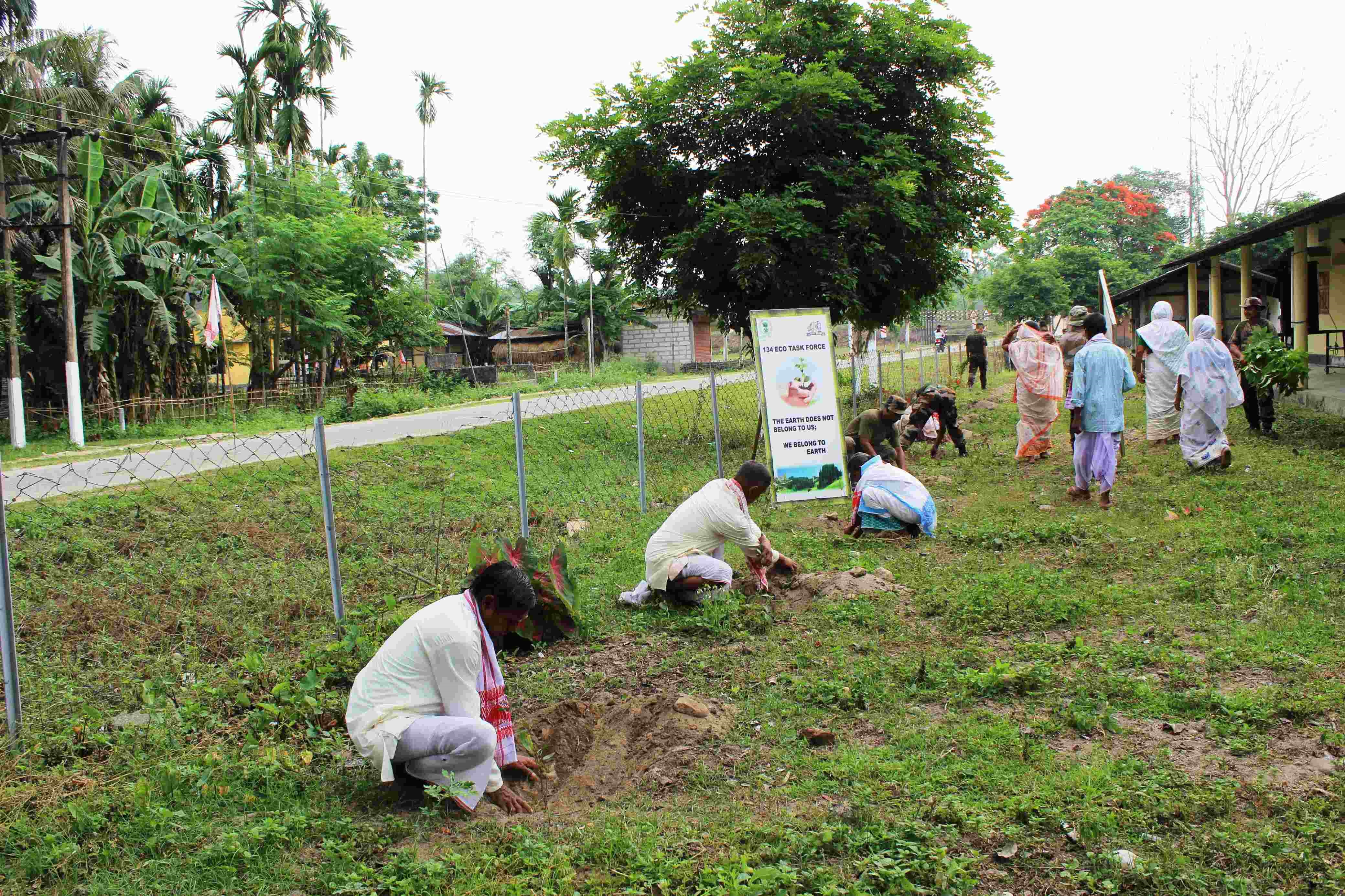 Mass Plantation Drive