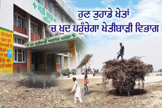 Punjab Agriculture Department, Cultivation of cotton