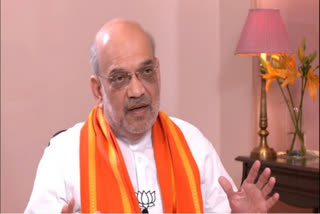 Amit Shah On Lok sabha Election