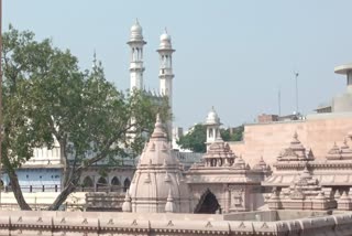 Vishwanath Temple and Gnanavapi Masjid