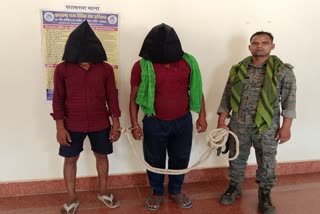 Cattle Smugglers Arrested In Palamu