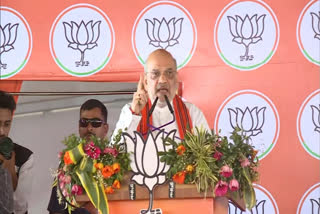 Union Home Minister Amit Shah on Friday claimed that Odisha would turn saffron after the elections, since the BJP would win over 75 assembly and 15 Lok Sabha seats.