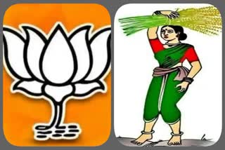 Rebellion in BJP-JDS alliance