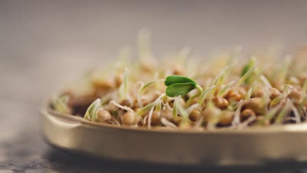 Sprout chana