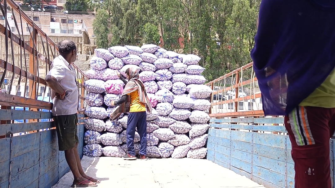 Himachal Garlic Demand