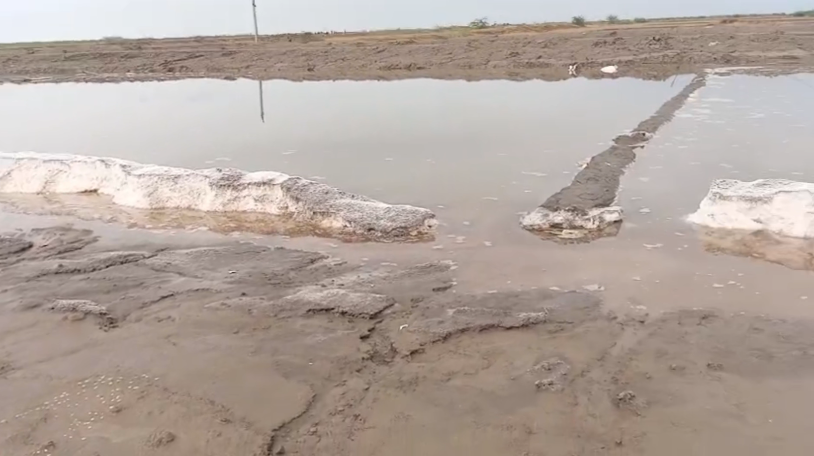 કમોસમી વરસાદથી મીઠાનો પાક નાશ