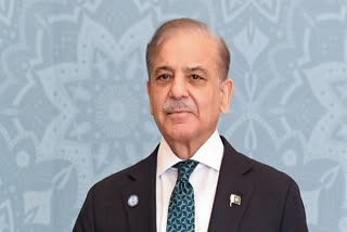 Pakistan PM Shehbaz Sharif