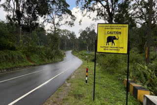 WILD LIFE UNDER PASS  FOREST DEPARTMENT  COMPENSATORY AFFORESTATION FUND  KOCHI DHANUSHKODI NATIONAL HIGHWAY