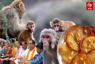 ETV Bharat