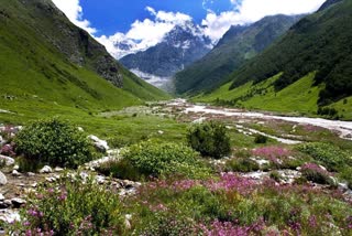 The Valley Of Flowers in Uttrakhand's Chamoli.