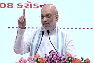 مرکزی وزیر داخلہ امت شاہ