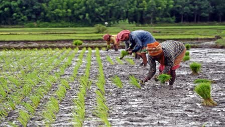 ICAR-IARI To Engage 600 Farmers Daily In Nationwide Tech Outreach Drive