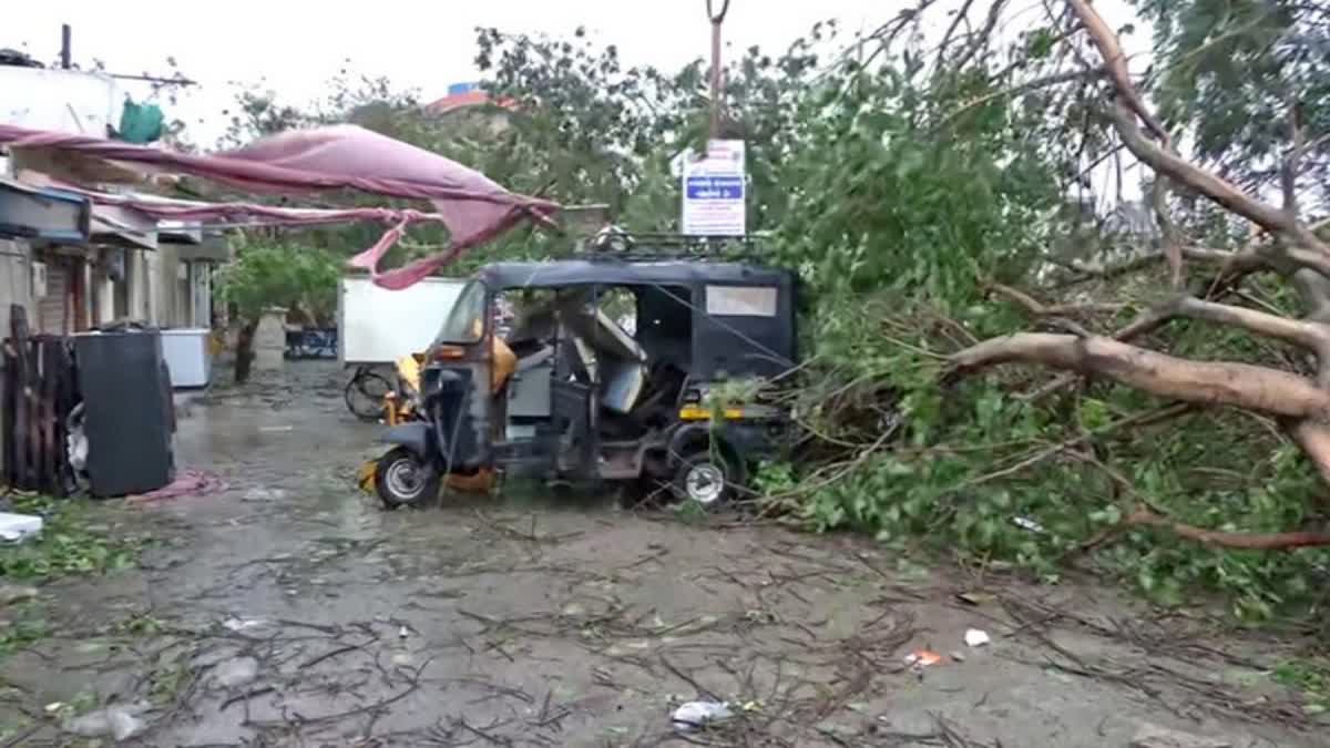 Gujarat Cyclone Impact: અત્યાર સુધીમાં 420 થી વધુ વીજપોલને નુકસાની, અનેક વૃક્ષો જમીનદોસ્ત