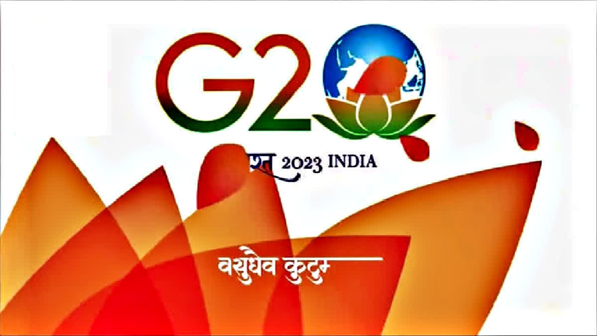 G20