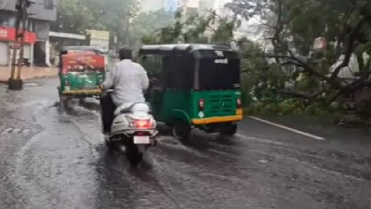 Gujarat Cyclone Impact : વાવાઝોડું લેન્ડફોલ બાદ હાલાર પંથકમાં મેઘરાજા મન મૂકીને વરસ્યા, ક્યાં કેટલો વરસાદ જૂઓ