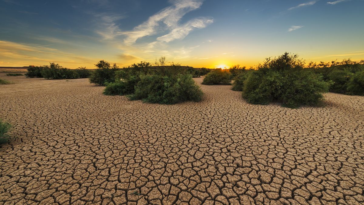 World Day to Combat Desertification and Drought