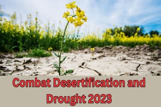 Combat Desertification and Drought 2023