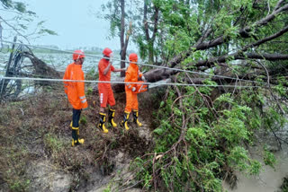 Cyclone Biparjoy left a huge trail of destruction by uprooting at least 5,200 electric poles and 581 trees as it barreled through Gujarat, plunging 4,600 villages in darkness.