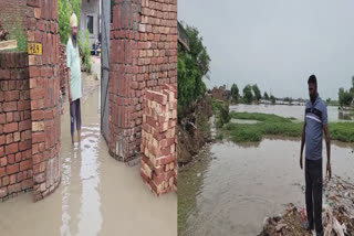 People in Timmowal village of Amritsar are worried about the pond