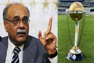 ICC World Cup 2023 Pakistan