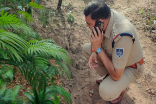 skeleton found in singrauli forest