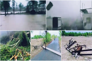 Cyclone Biparjoy weakens into deep depression, causes heavy rainfall in Rajasthan
