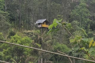 tree house in kerala  ഏറുമാടം  ഇടുക്കിയിലെ ഏറുമാടം  Tree house in Kattappana Idukki  ഇടുക്കിയുടെ കുളിരും കാഴ്‌ചകളും ആസ്വദിക്കാം  കട്ടപ്പനയില്‍ ഏറുമാടമൊരുക്കി അച്ഛനും മക്കളും  നേരംപോക്കിനുണ്ടാക്കിയത് ഏറെ ജനപ്രിയം  ഏറുമാടം ജനശ്രദ്ധ നേടുന്നു  ഇടുക്കി വാര്‍ത്തകള്‍  ഇടുക്കി ജില്ല വാര്‍ത്തകള്‍  ഇടുക്കി പുതിയ വാര്‍ത്തകള്‍  kerala news updates  latest news in kerala