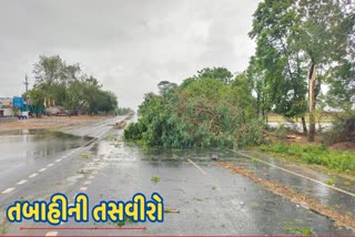 15-16 જૂનના રોજ ગુજરાતમાં બિપરજોય વાવાઝોડાને કારણે ભારે તબાહી જોવા મળી રહી છે. વાવાઝોડાને કારણે કચ્છ, દ્વારકાની આસપાસના વિસ્તારોમાં ભારે નુકશાન થયું છે. જેના દ્રશ્યો હાલમાં સોશિયલ મીડિયા પર વાયરલ થઈ રહ્યા છે. ક્યાંક વરસાદે તબાહી  મચાવી તો ક્યાંક ભારે પવનને કારણે તબાહી મચી હતી. અનેક જગ્યાએ વૃક્ષો ધરાશાયી થયા અને વીજપોલ પડી ગયા હતા. જોકે તંત્ર હાલ કામગીરીમાં લાગ્યું છે અને જનજીવન સામાન્ય થાય તે માટેના પ્રયત્નો કરી રહ્યું છે. વાવાઝોડું બિપરજોય લેન્ડફોલ થયા બાદ અનેક વિસ્તારોમાં ભારે પવન સાથે વરસાદ પડ્યો હતો. જેના કારણે અનેક એવા જિલ્લા તથા તાલુકાઓમાં ભારે નુકસાન થયું છે. વાવાઝોડા દરમિયાન દ્વારકા - કલ્યાણપુરમાં કોઇ જાનહાનિ થઈ નથી. તંત્ર દ્વારા વૃક્ષ અને વીજપોલ અંગે સર્વે શરૂ કરવામાં આવ્યો છે.