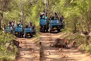 Ranthambore National Park