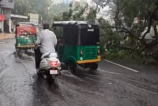 Situation in Gujarat after Cyclone Biparjoy