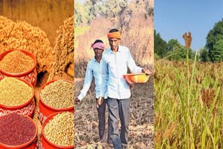 Success of Millet Mission in Chhattisgarh