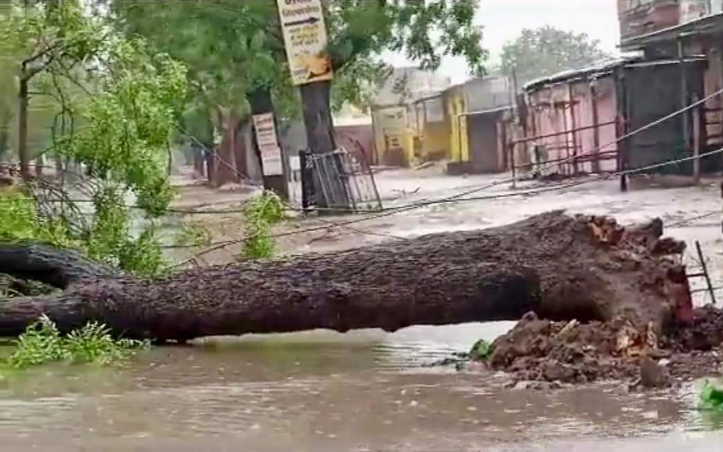 cyclone biparjoy impact in Jalore