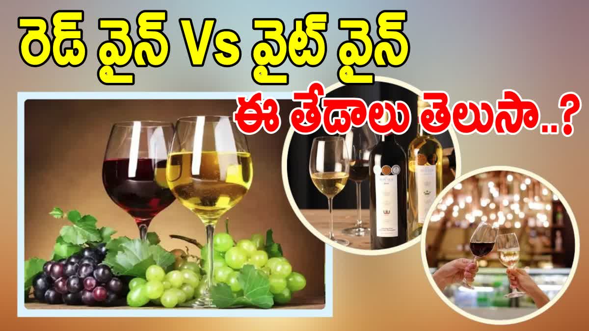 Difference Between Red And White Wine