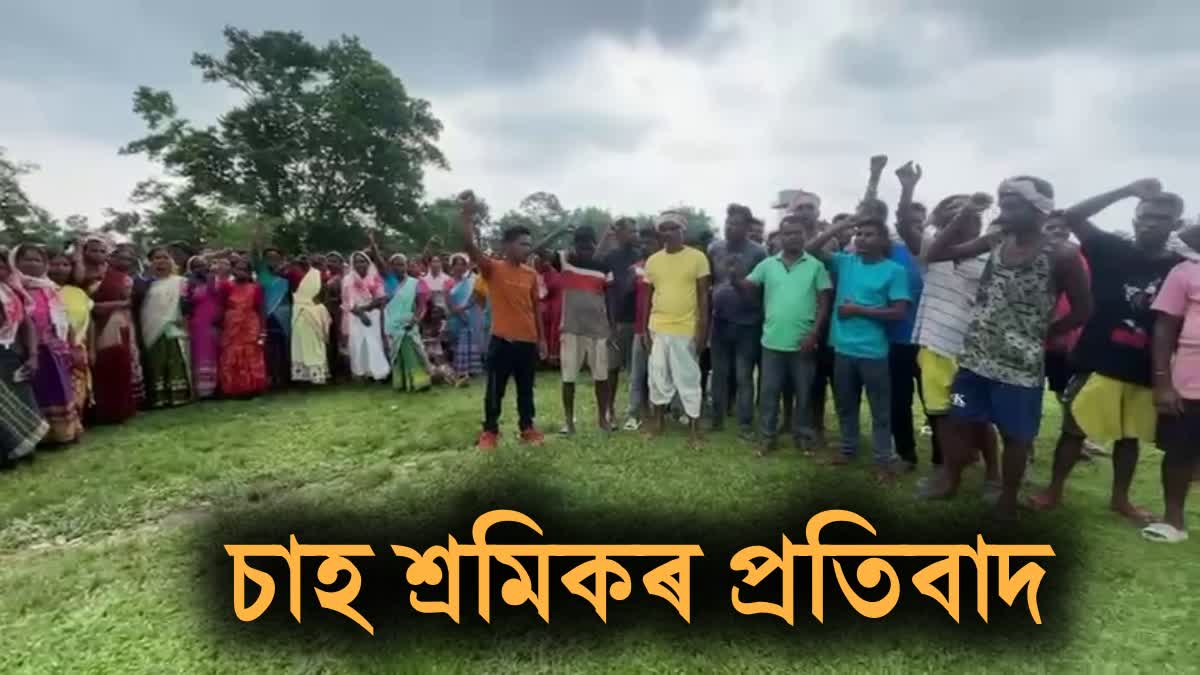 Assam Chah Mazdoor Sangha protest