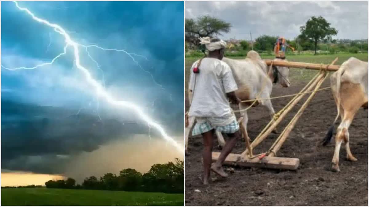 Monsoon Rain Weather Update Maharashtra