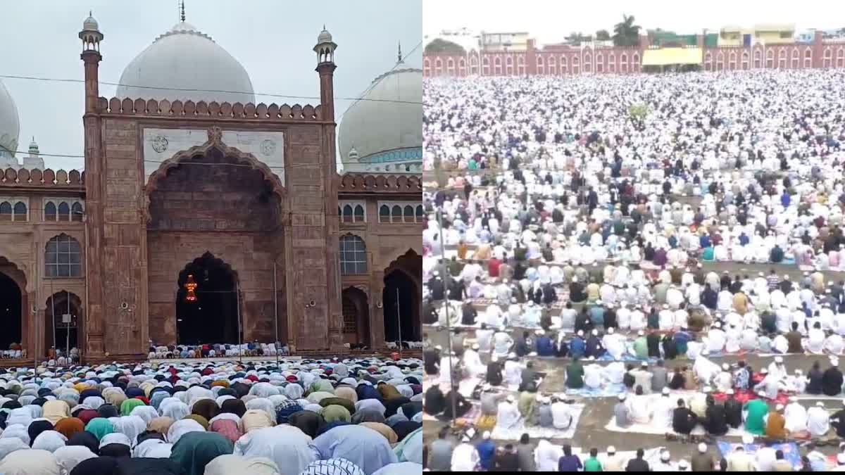 EID UL ADHA CELEBRATING BHOPAL