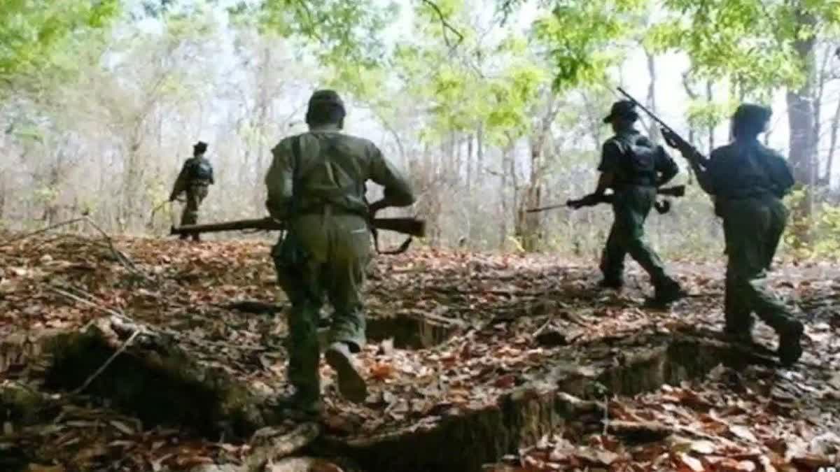 several naxalites were killed in encounter between security forces and naxalites in chaibasa