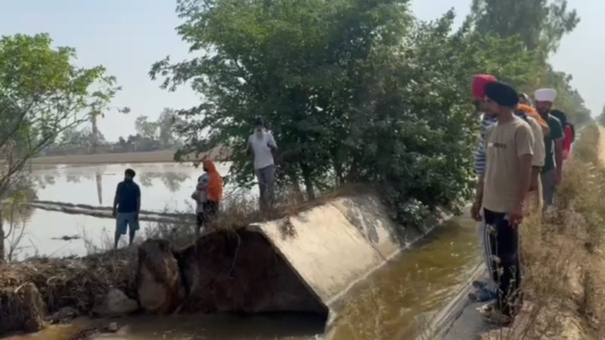 There was a big gap in the canal near Bohlian village of Ajnala, the farmers suffered a lot