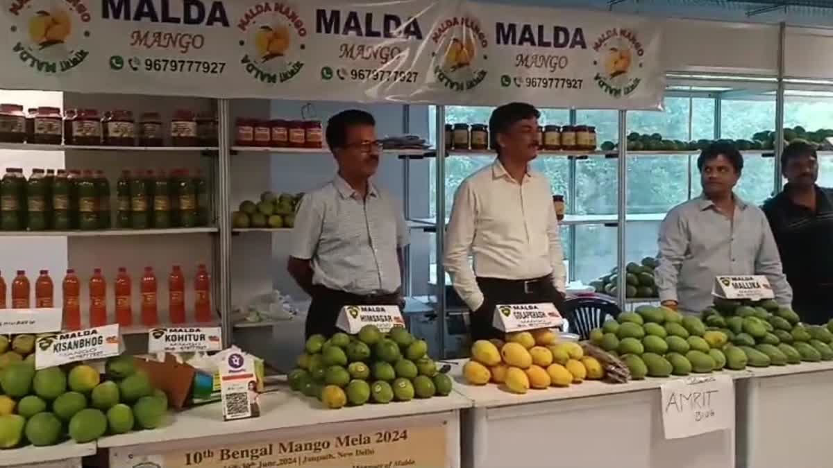 Malda Mangos in Delhi Fair