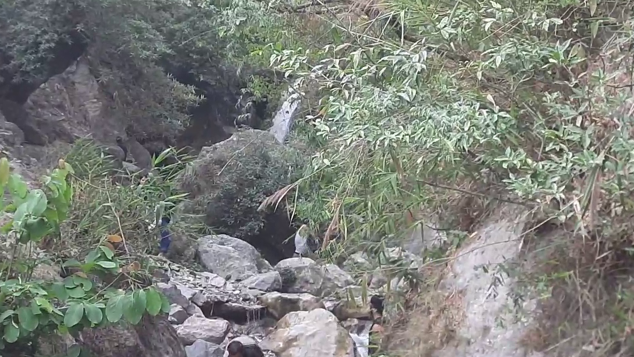 dehradun shikhar fall