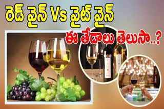 Difference Between Red And White Wine